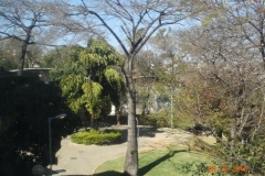 DSC07393