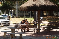 DSC07102