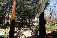 DSC07127