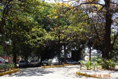 DSC07161